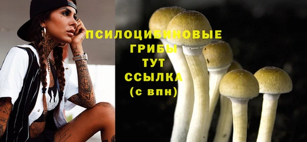мет Кинешма