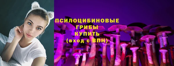 шишки Киренск