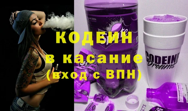 шишки Киренск