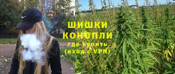 шишки Киренск