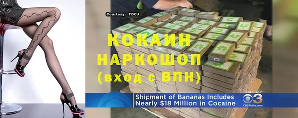 шишки Киренск