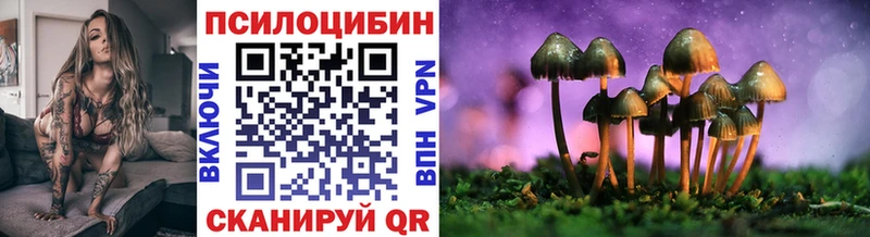 Купить где  Пугачёв  Псилоцибиновые грибы мухоморы 